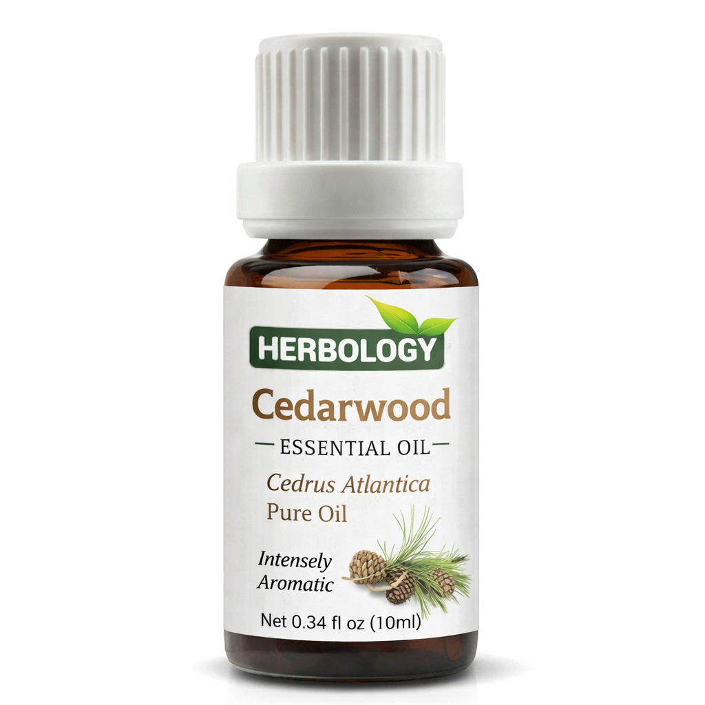 Cedarwood essential oil pure woody aroma oil for perfumery and aromatherapy by HERBOLOGY