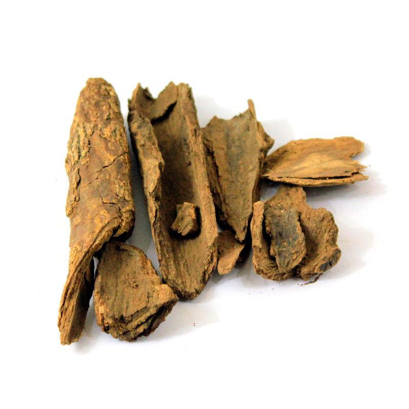 Common Tallow Laurel