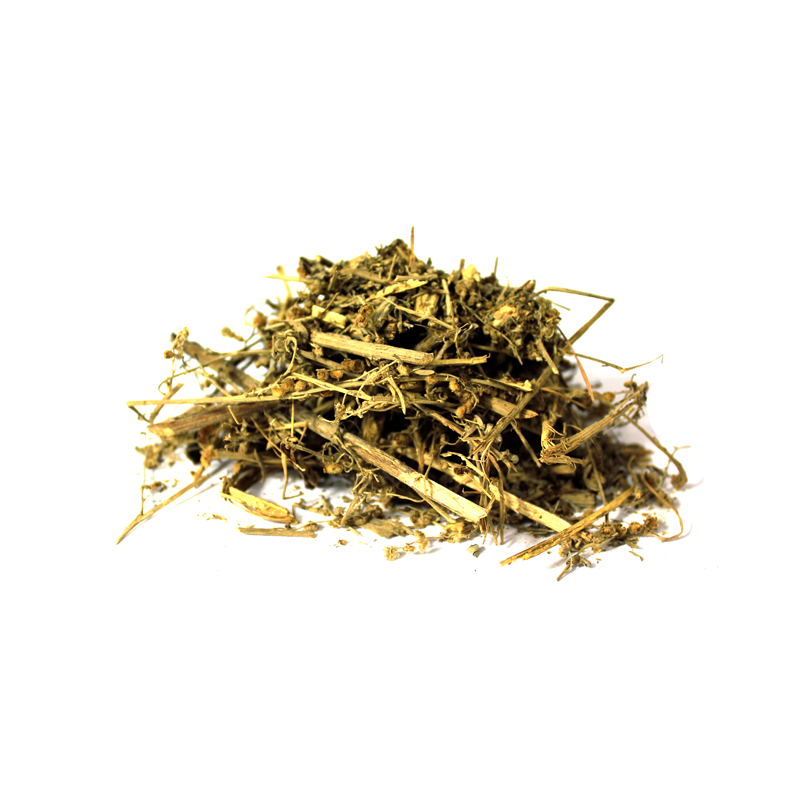 Dodder