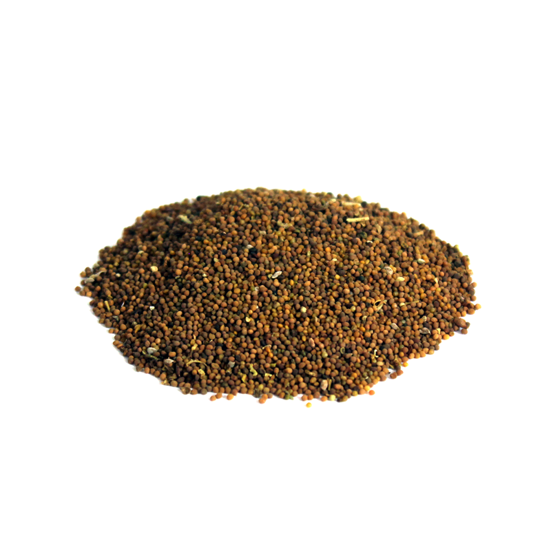 Dodder Seeds