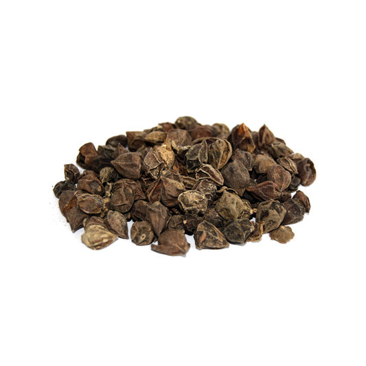 Dried Assyrian Plum