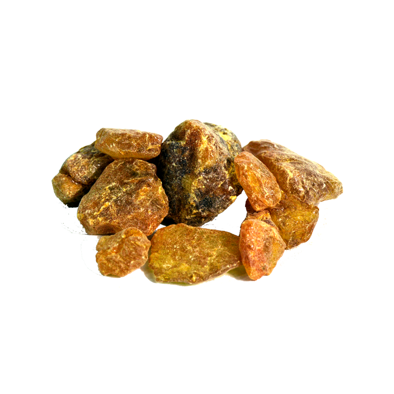 Dried Cheer Pine