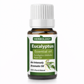 Eucalyptus essential oil pure steam distilled oil used for aromatherapy skincare soaps candles and natural cleaning products