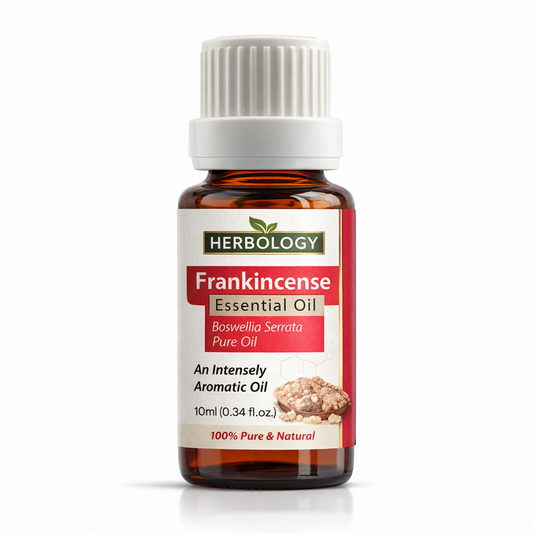 Frankincense essential oil pure boswellia carterii resin oil for aromatherapy and perfumery by HERBOLOGY
