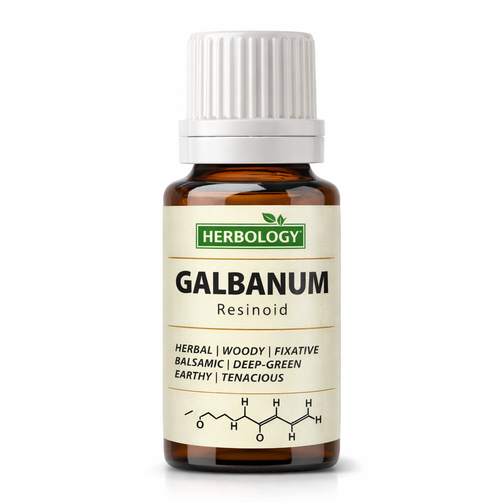 Galbanum essential oil perfumery