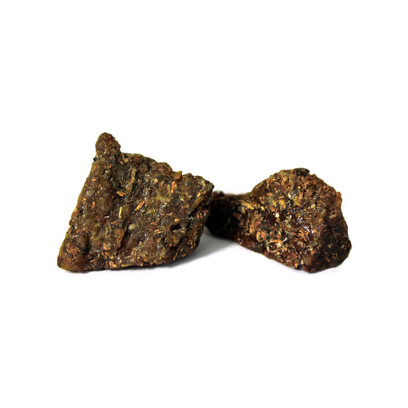 Gum Of Dates Tree
