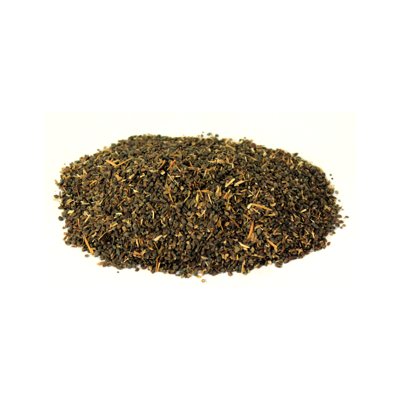 Hygrophila Seeds