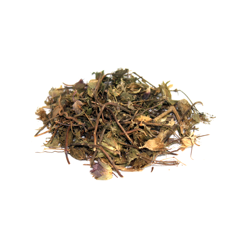Hyssop