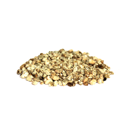 Indian Cotton Seeds