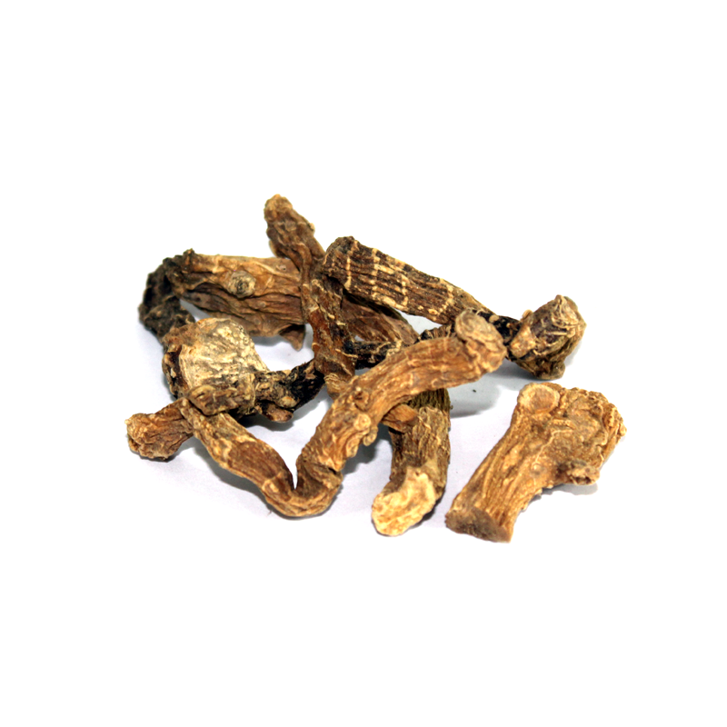 Indian Valerian