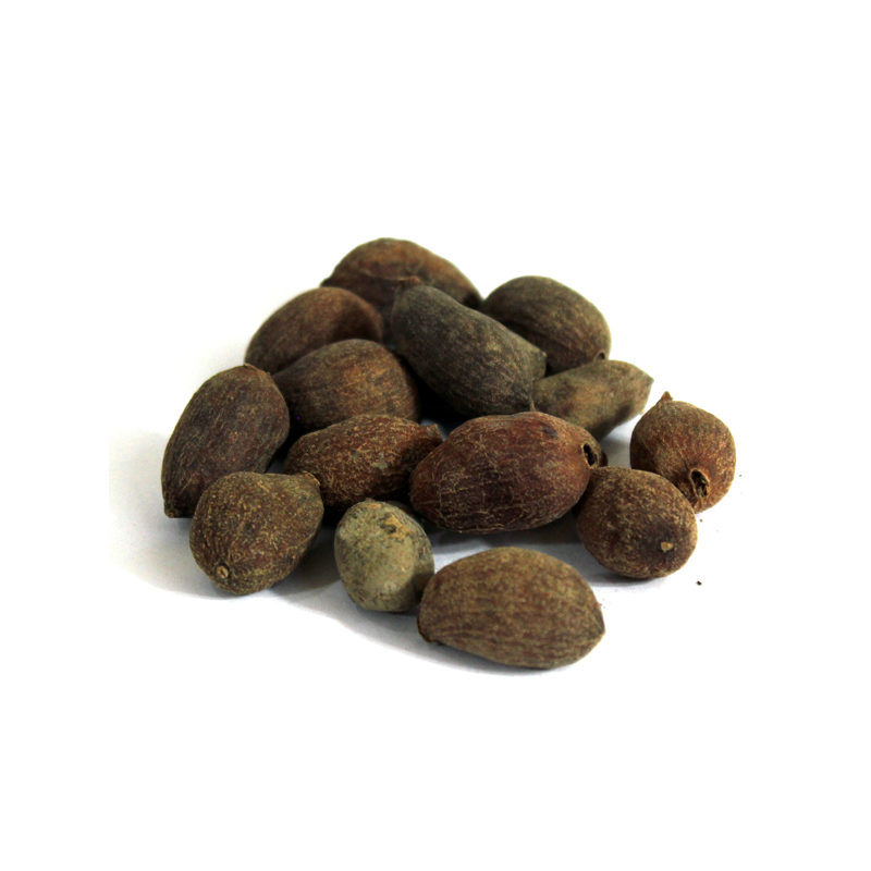 Jambolan Seeds
