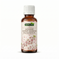 Japanese Cherry Blossom Fragrance Oil