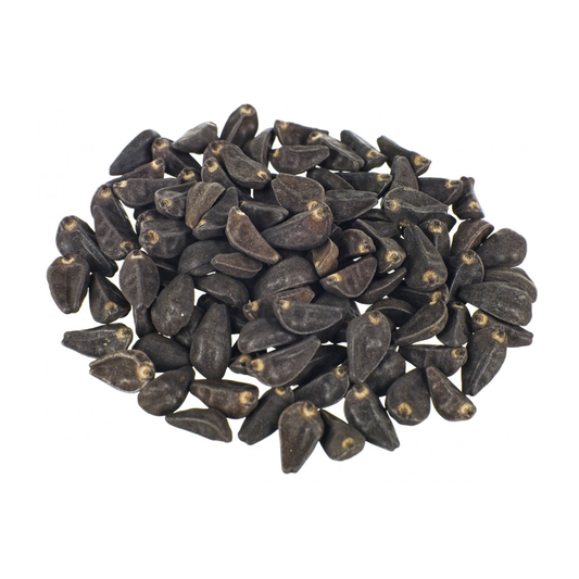 Jaspanese Morning Glory Seeds