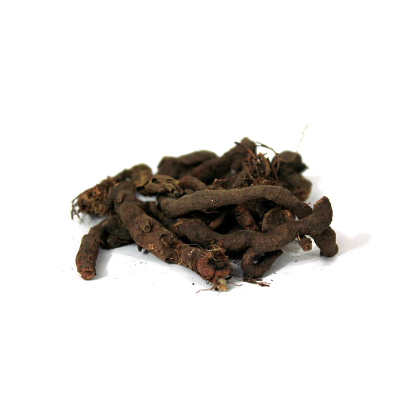 Knotgrass