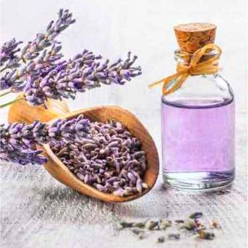Lavender Hydrosol