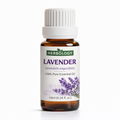 Lavender Essential Oil pure aromatherapy and perfumery grade by HERBOLOGY