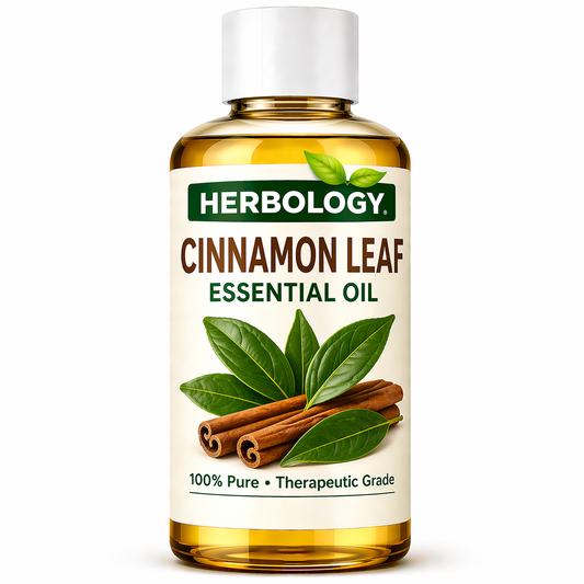 Cinnamon Leaf Essential Oil for scalp