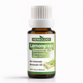 Lemongrass essential oil from Cymbopogon citratus with fresh lemon citrus aroma used in aromatherapy and perfumes