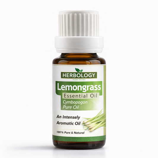 Lemongrass essential oil from Cymbopogon citratus with fresh lemon citrus aroma used in aromatherapy and perfumes