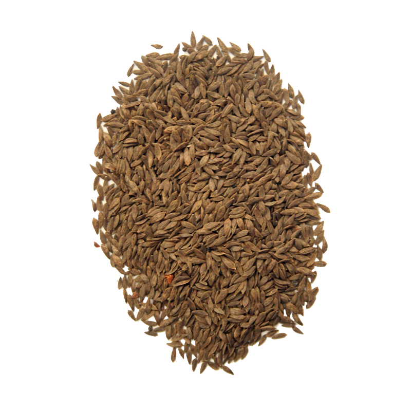 Lettuce Seeds