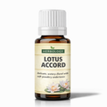 Lotus Accord