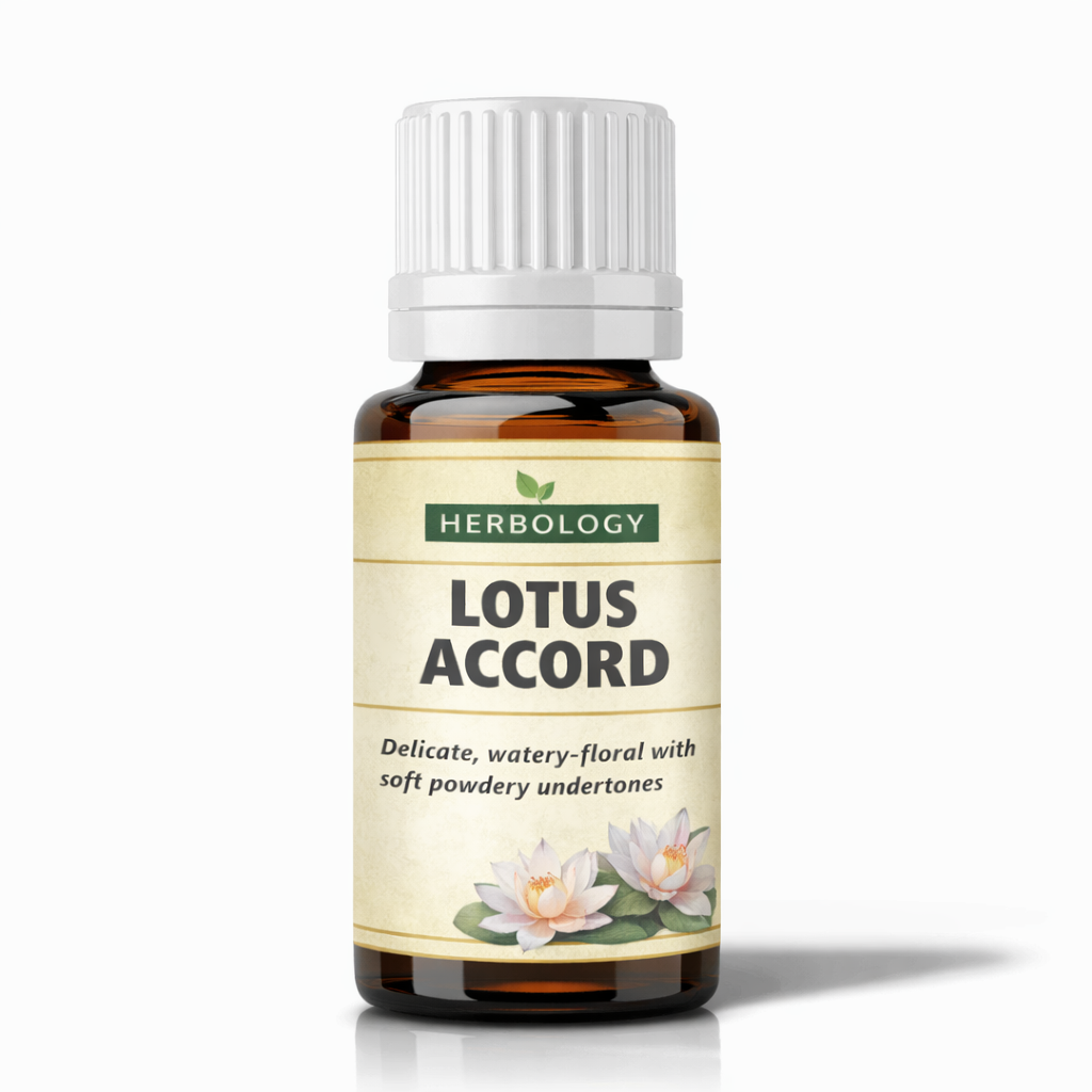 Lotus Accord
