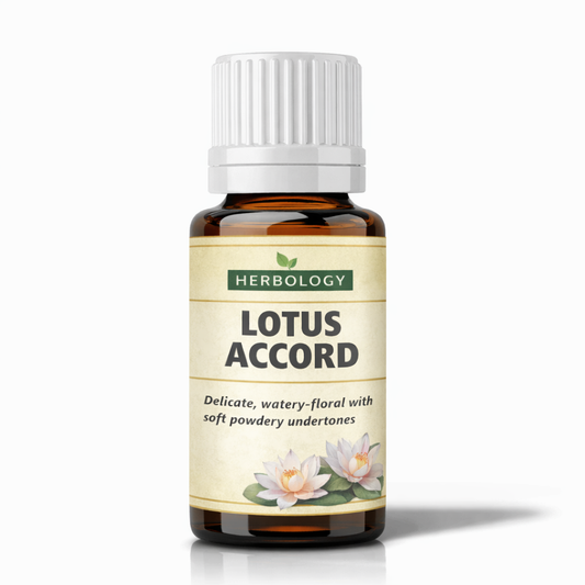 Lotus Accord