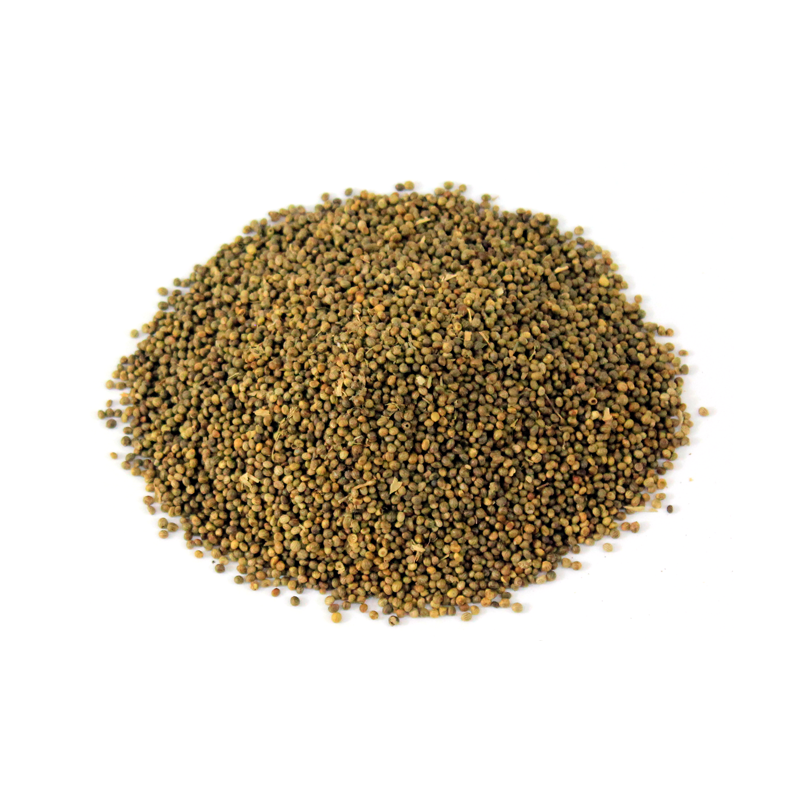 Madras Leaf Flower Seeds