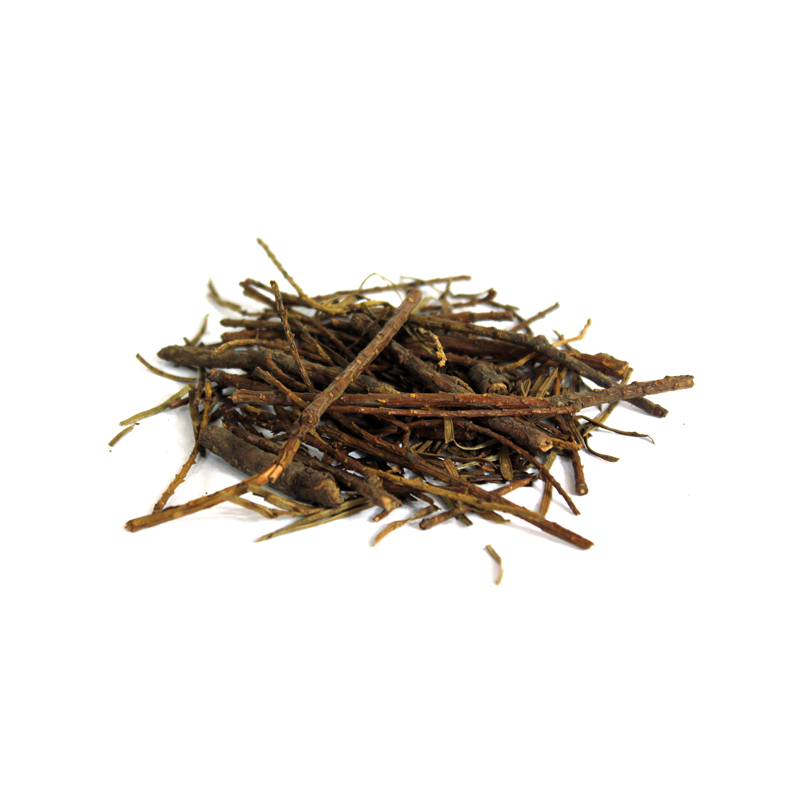 Many Spiked Flacorita