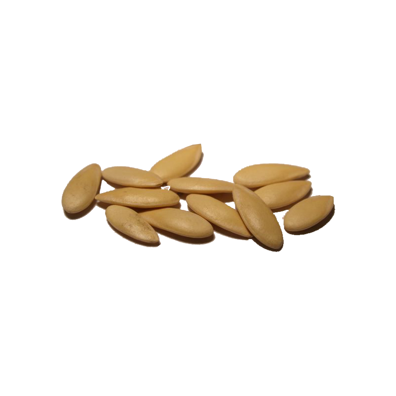 Melon Seeds