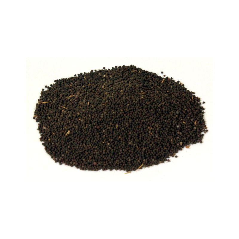 Mexican Poppy Seeds