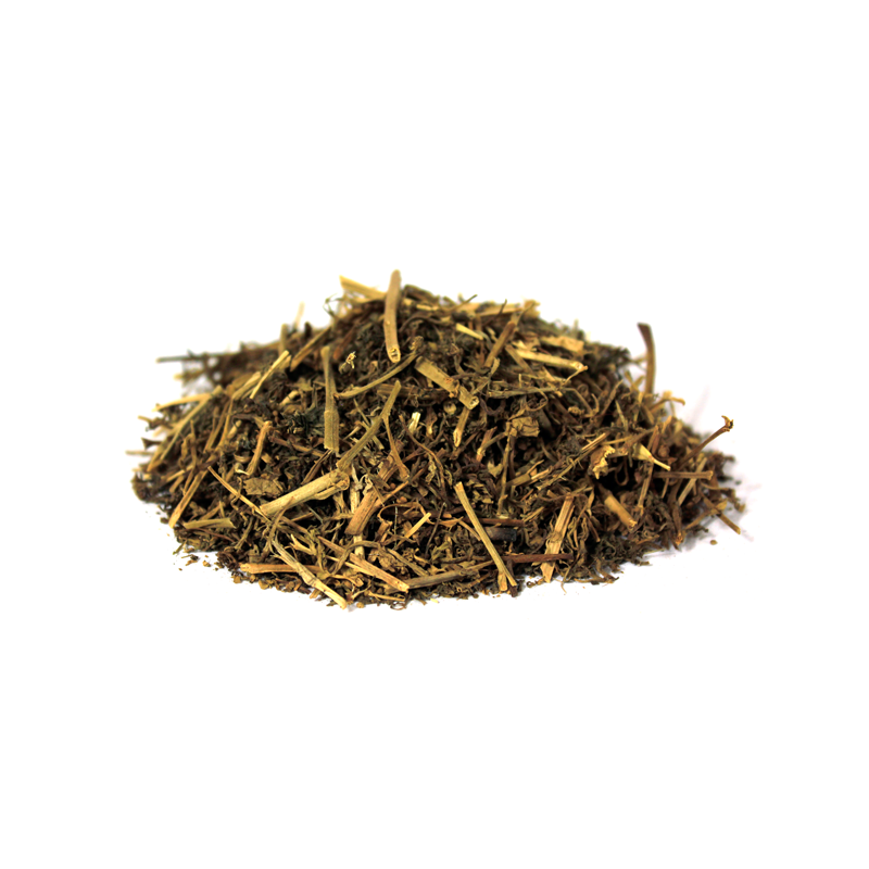 Mexican Sarsaparilla