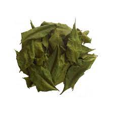 Neem Leaves