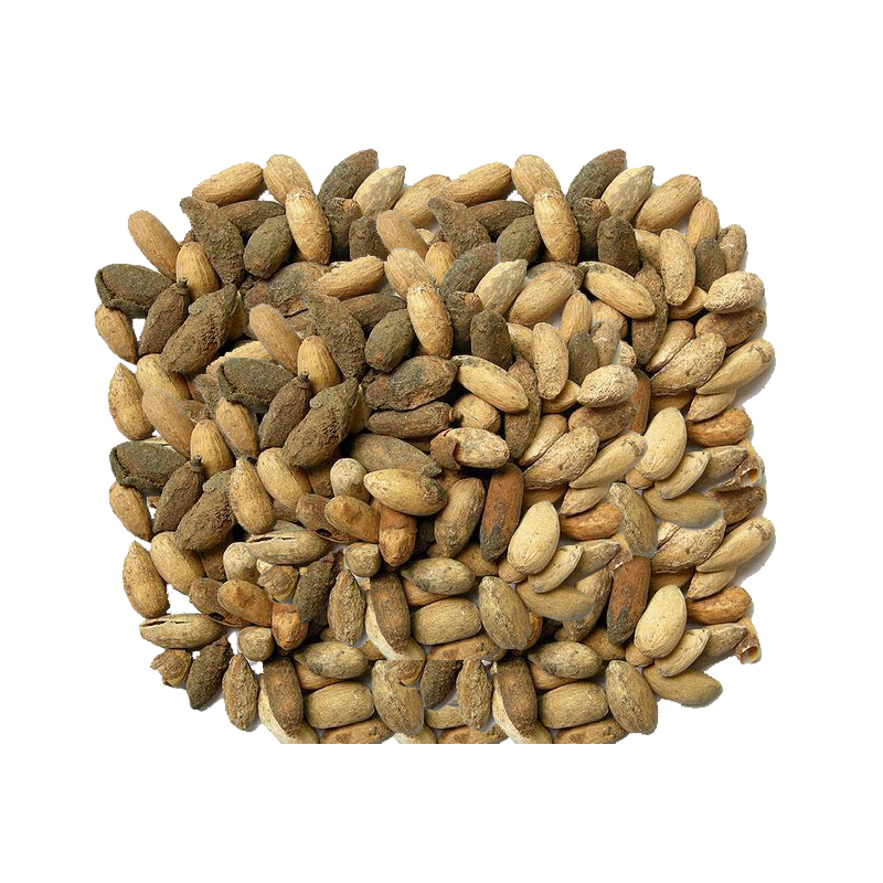 Neem Seeds