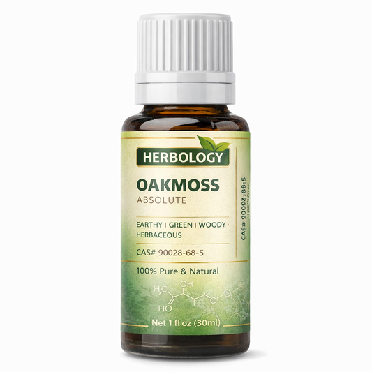 Oakmoss essential oil mossy perfume base note fixative used in chypre fougere and oriental fragrance formulations