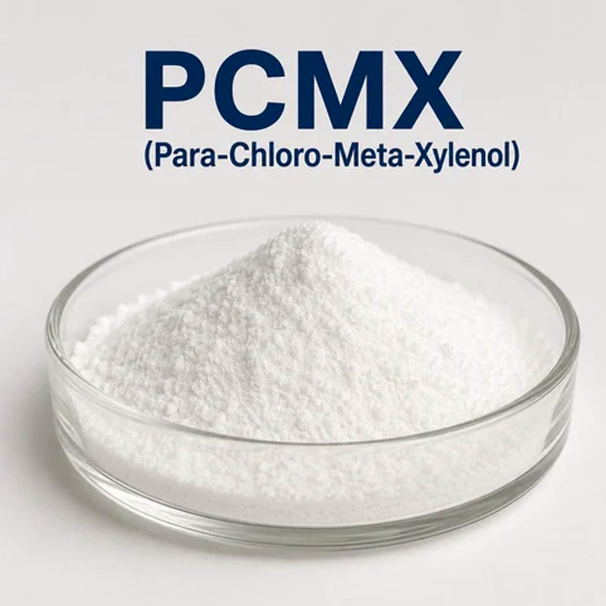 A small clear glass dish filled with white powder, with large blue text above reading 'PCMX (Para-Chloro-Meta-Xylenol)' on a light gray - Hbackground.