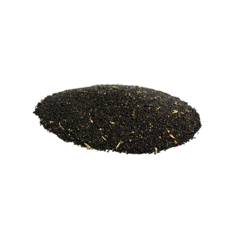 Plumed Cockscomb