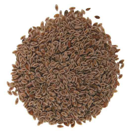 Psyllium Seed Husk