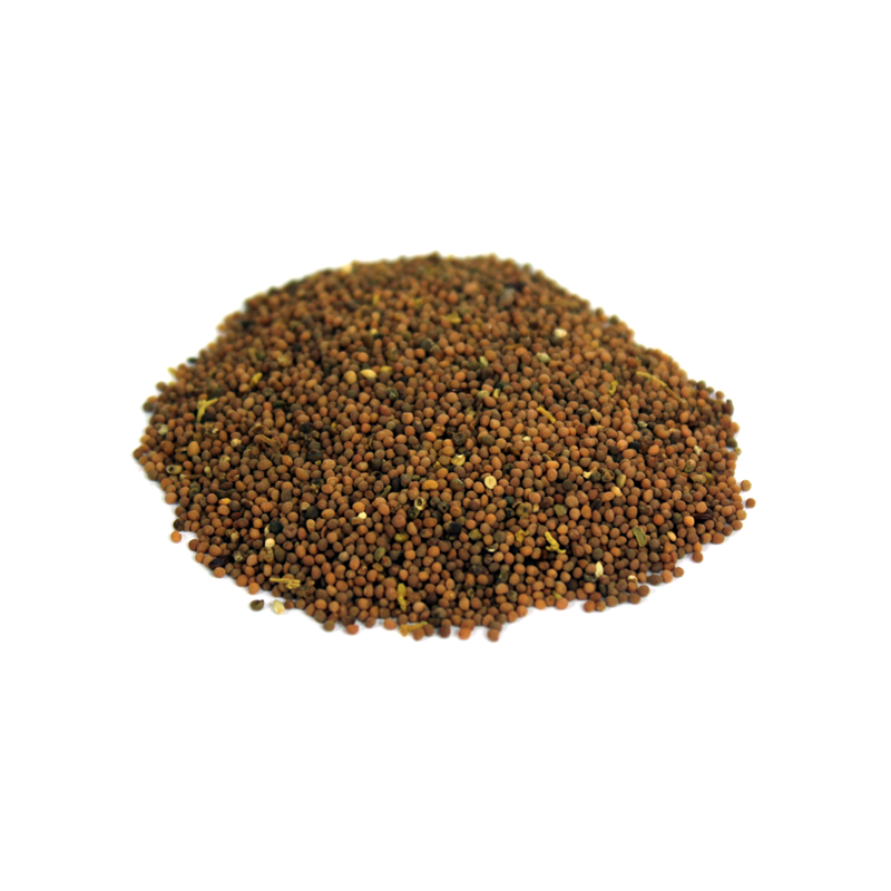 Punarnava