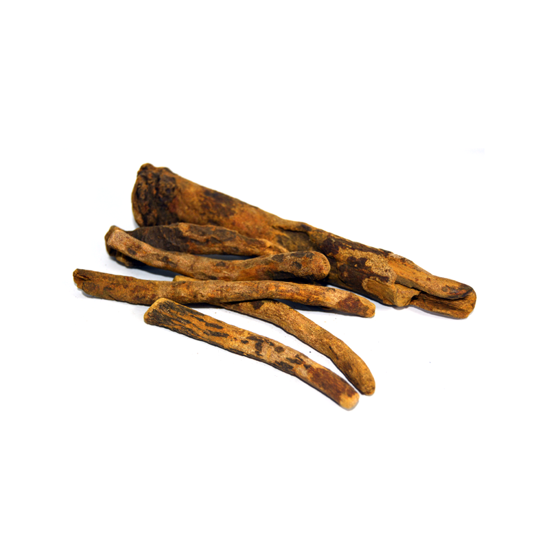 Rhubarb Roots