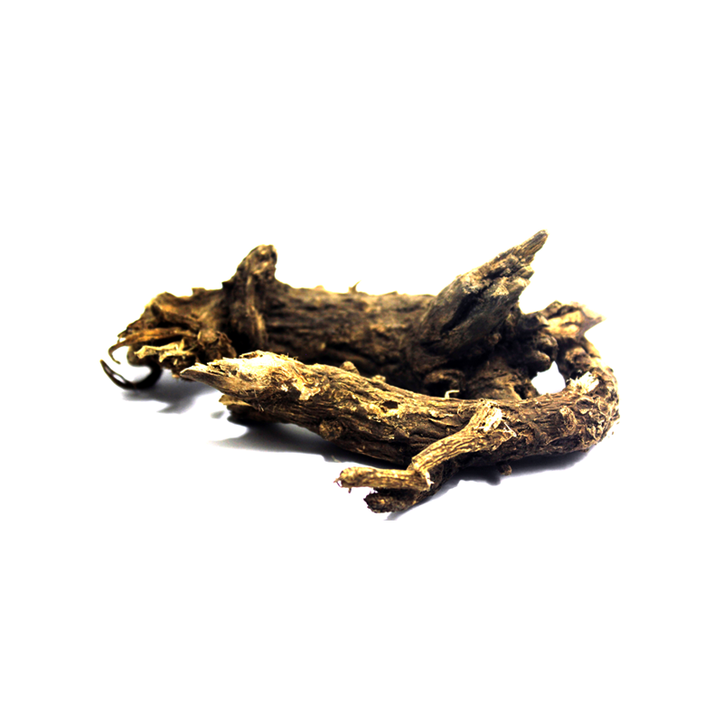 Roots of Marsh Mallow