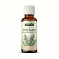 Rosemary Fragrance Oil