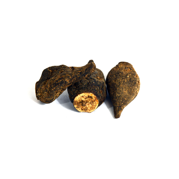 Salep Orchid Root