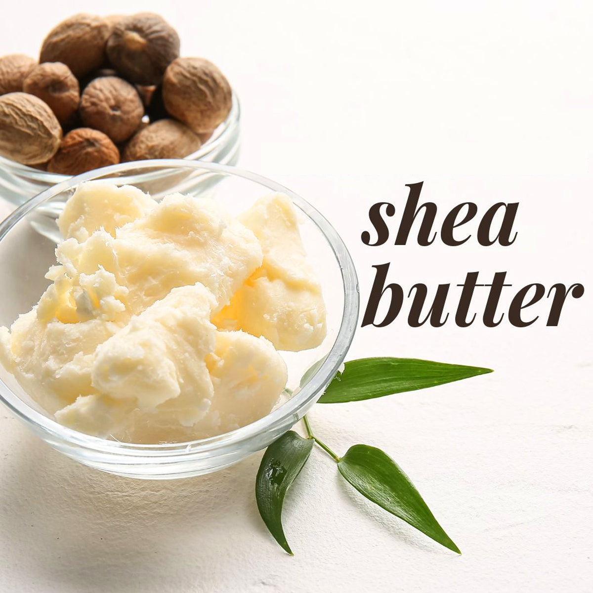 Shea Butter Refined TX0294 (Textron)