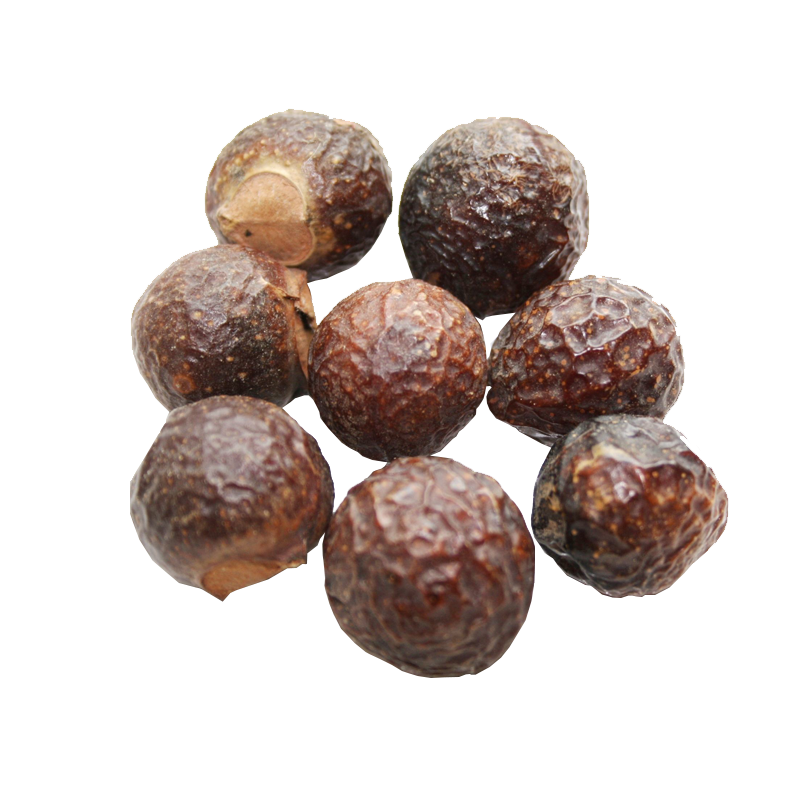 Soap Nut