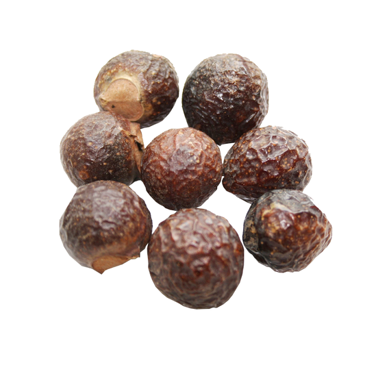 Soap Nut