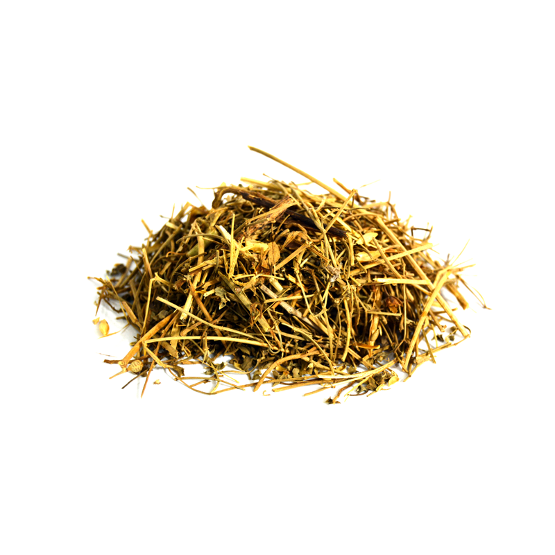 Spleenwort