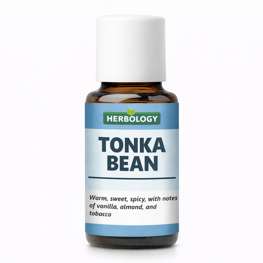 Tonka bean oil sweet vanilla almond fragrance ingredient used in perfumes candles and cosmetic formulations
