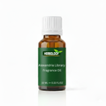 Alexandria Library Fragrance Oil Fresh, Woody, and Vanilla Aroma