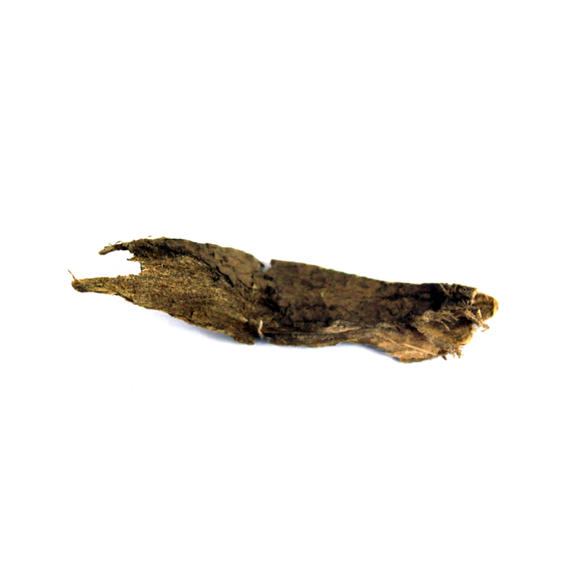 Walnut Tree Bark